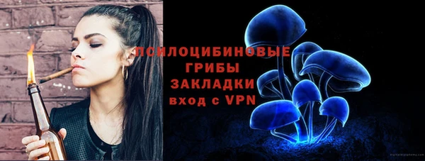 mdpv Волоколамск