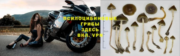 mdpv Волоколамск