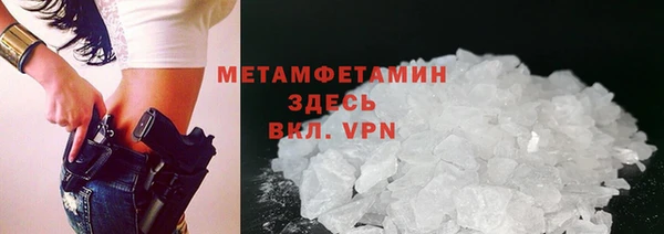 индика Туринск