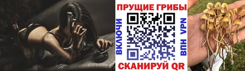 Галлюциногенные грибы Magic Shrooms  Луза 